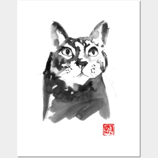 stunned cat Posters and Art